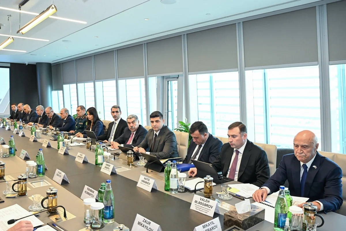 Ələt Azad İqtisadi Zonası üzrə İşçi Qrupunun iclası olub