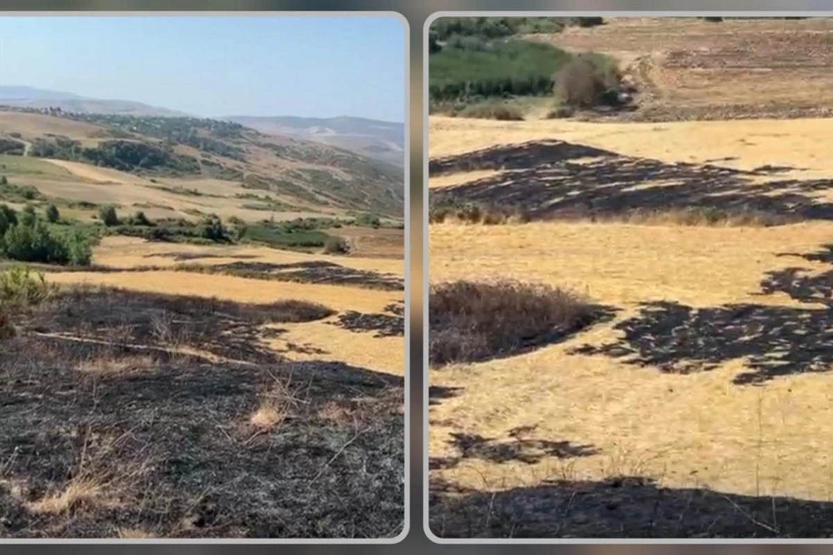 Şamaxıda yanğın törədən şəxs məsuliyyətə cəlb olunub Şamaxıda yanğın törədən şəxs məsuliyyətə cəlb olunub