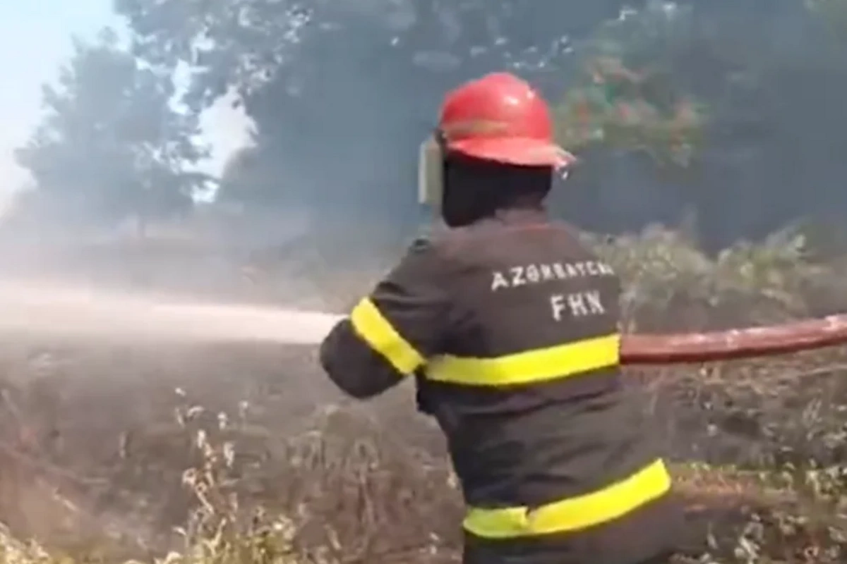 Lənkəranda açıq ərazidə yanğın başlayıb