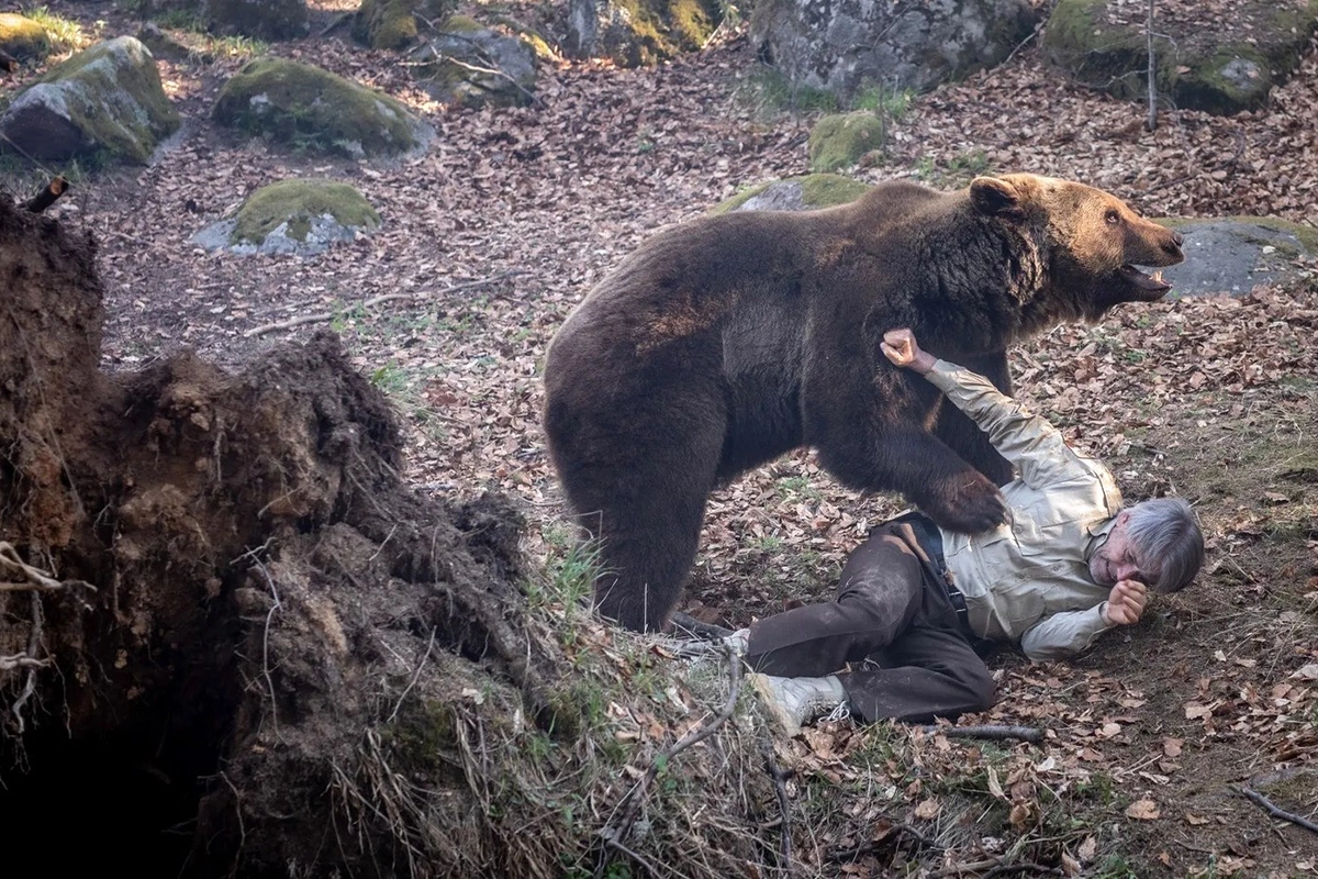 Vəhşi heyvan hücumundan bu cür qorunmaq olar - AÇIQLAMA Vəhşi heyvan hücumundan bu cür qorunmaq olar - AÇIQLAMA