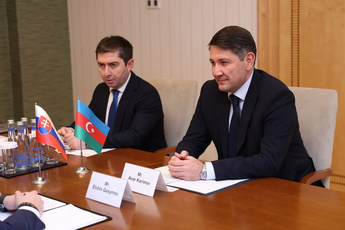 Bakı və Bratislava Slovakiya banklarının layihələrin maliyyələşdirilməsində iştirakını müzakirə edib