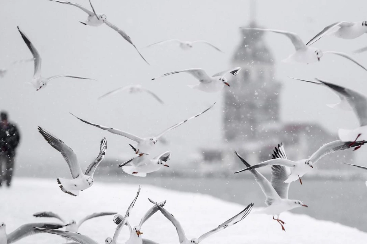 İstanbulda yaşayanlara qarla bağlı xəbərdarlıq edildi