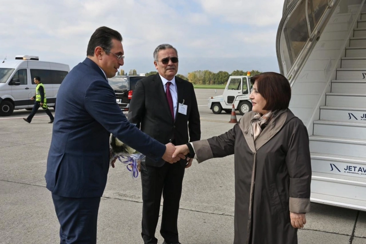 Sahibə Qafarova İsveçrəyə işgüzar səfər edib Sahibə Qafarova İsveçrəyə işgüzar səfər edib