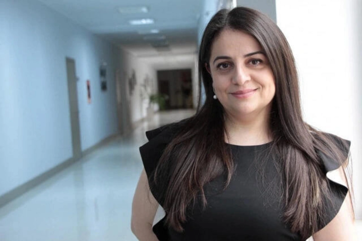 Azerbaijan's Ministry of Culture may develop financial support mechanisms for independent theaters