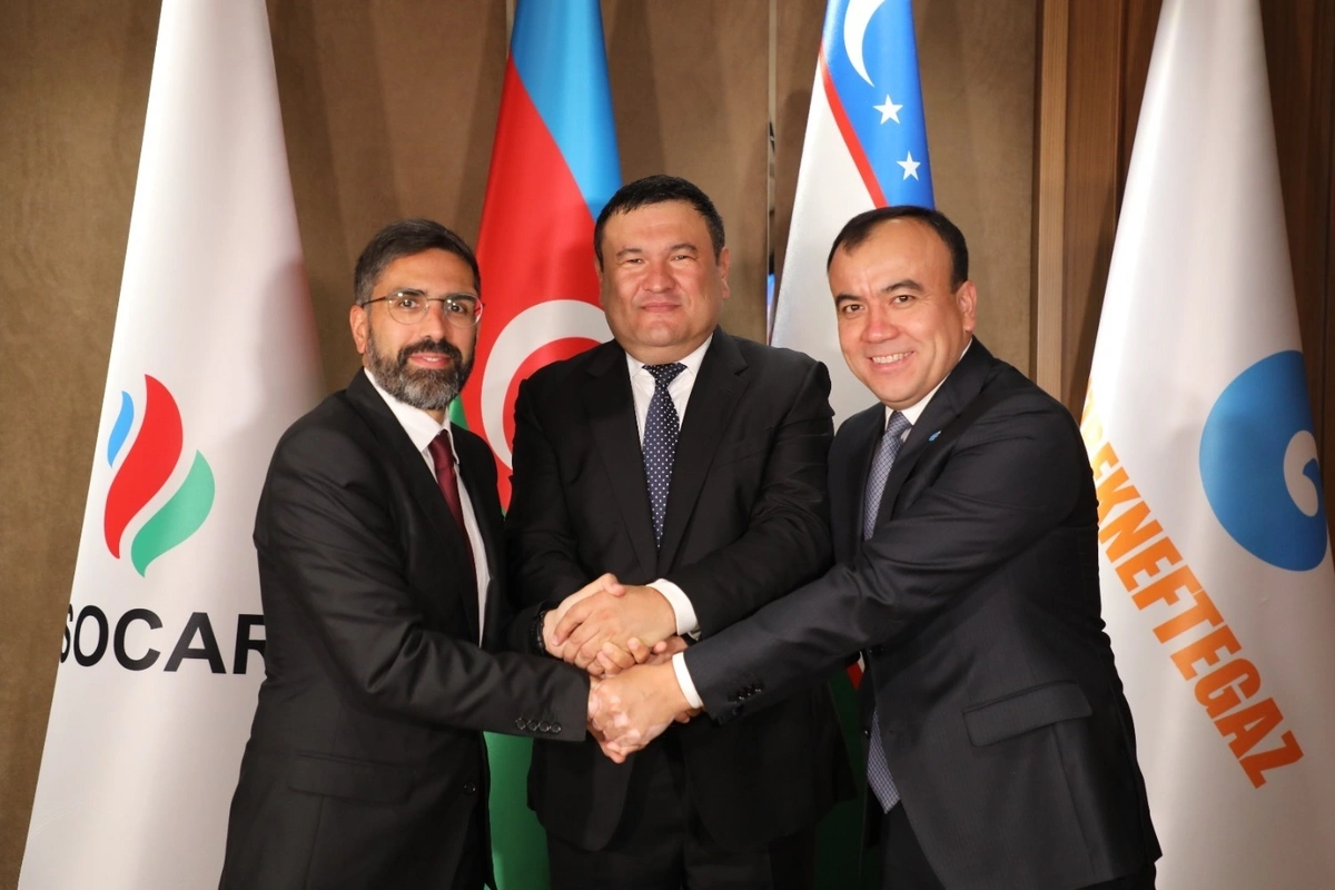 SOCAR will conduct geological exploration work