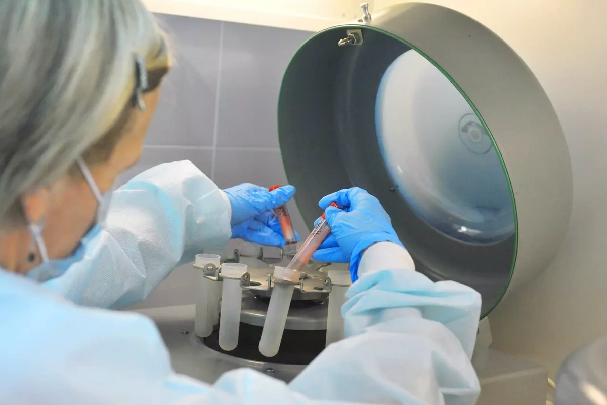 Moskvanın bir rayonunda quduzluq yayıldı - Karantinə aldılar