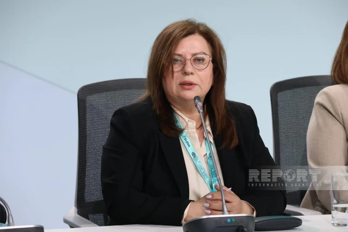 Nərgiz Qaracayeva: Azad edilmiş ərazilər Azərbaycanın yaşıl iqtisadiyyatının inkişafına töhfə verəcək