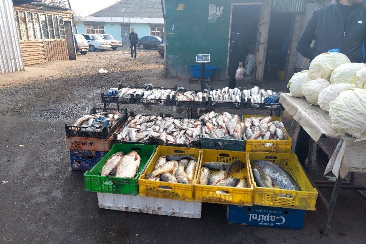 Azərbaycanın bir neçə rayonunda ərzaq bazarlarında nöqsanlar aşkarlandı