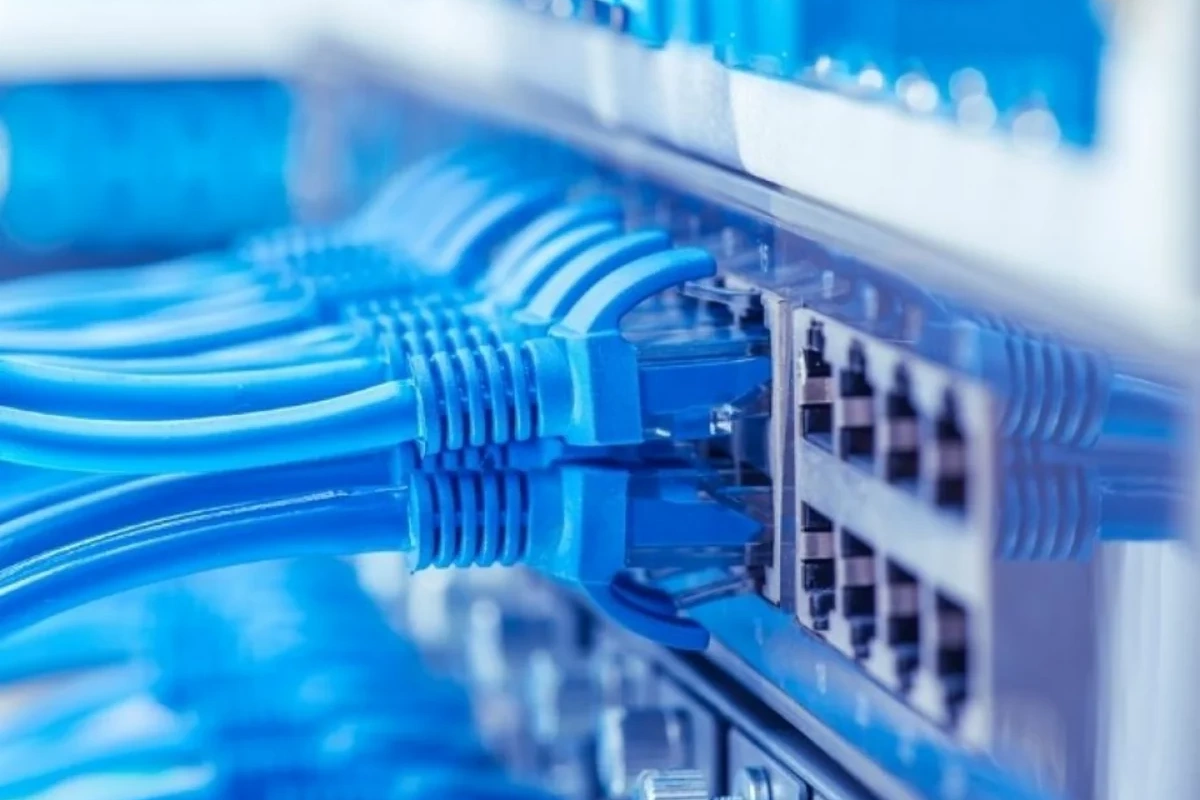Azərbaycandakı internet trafikində botların payı kəskin azalıb