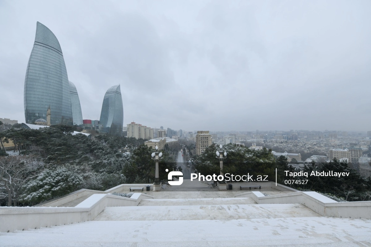 Mülayim payızdan sonra qış çox sərt keçir - Ekoloqdan XƏBƏRDARLIQ