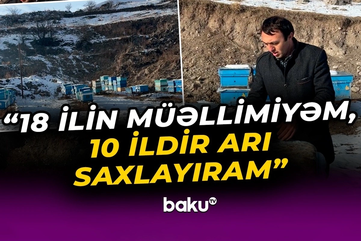 Arıçılıqla məşğul olan müəllim: Kəlbəcərdəki balın artımı buna görə çoxdur
