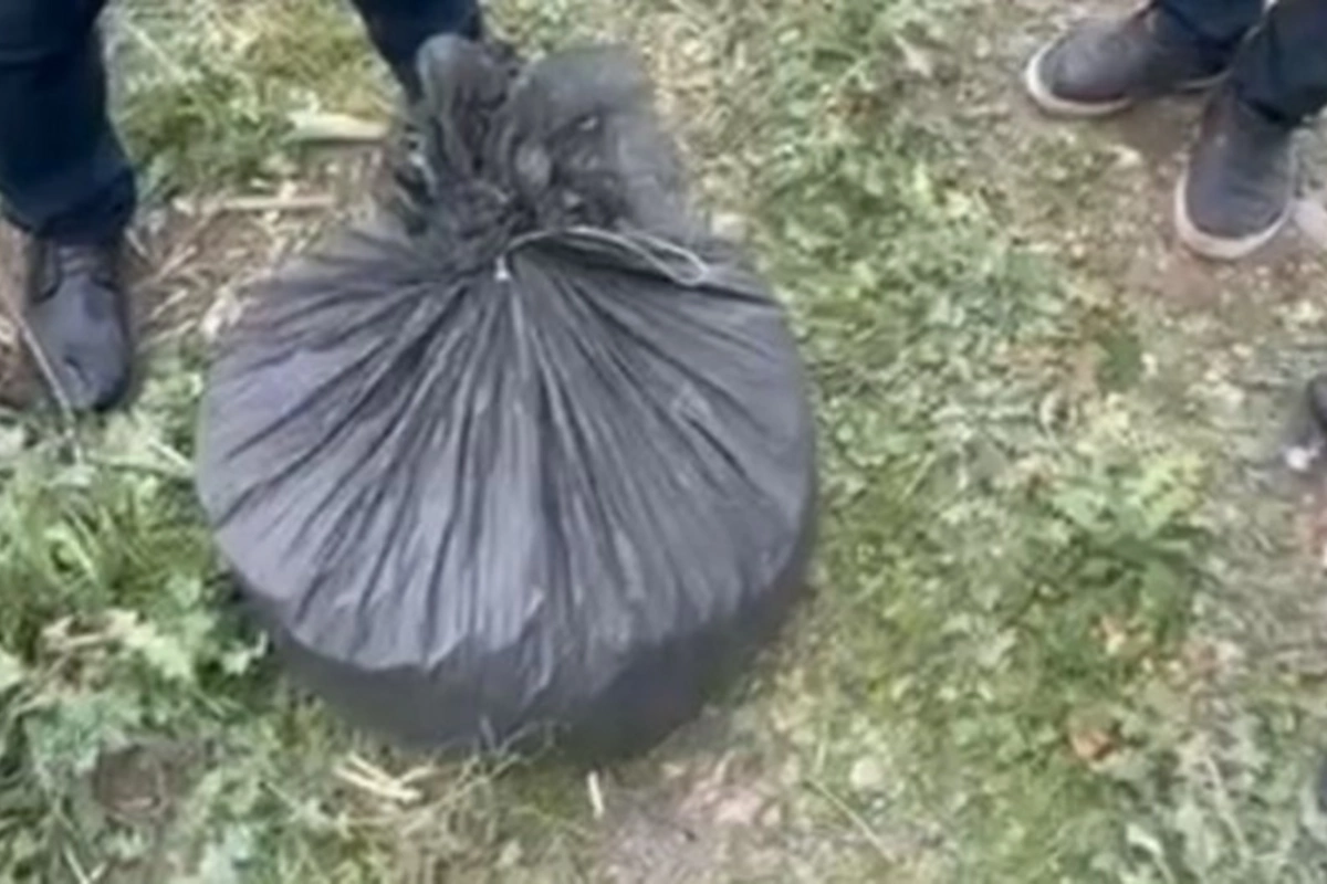 Keçmiş məhkumdan 8 kiloqram narkotik götürülüb