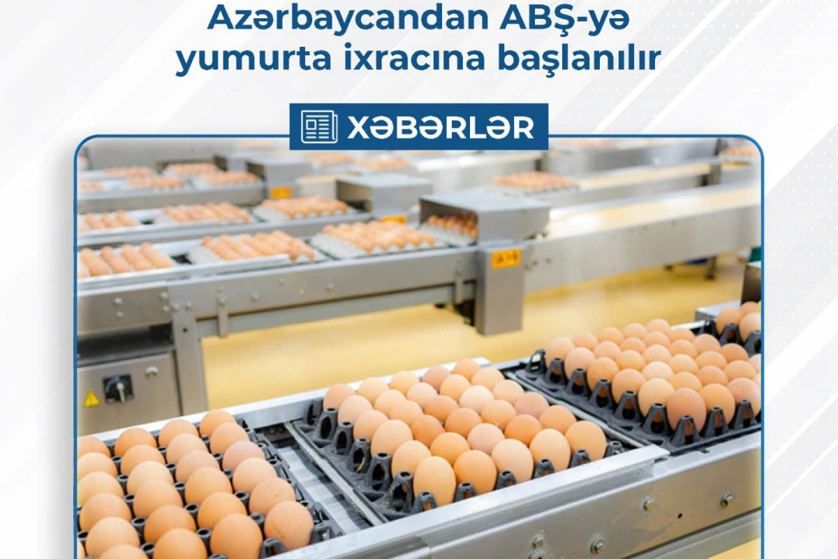 Azərbaycandan ABŞ-yə yumurta ixracına başlanılır