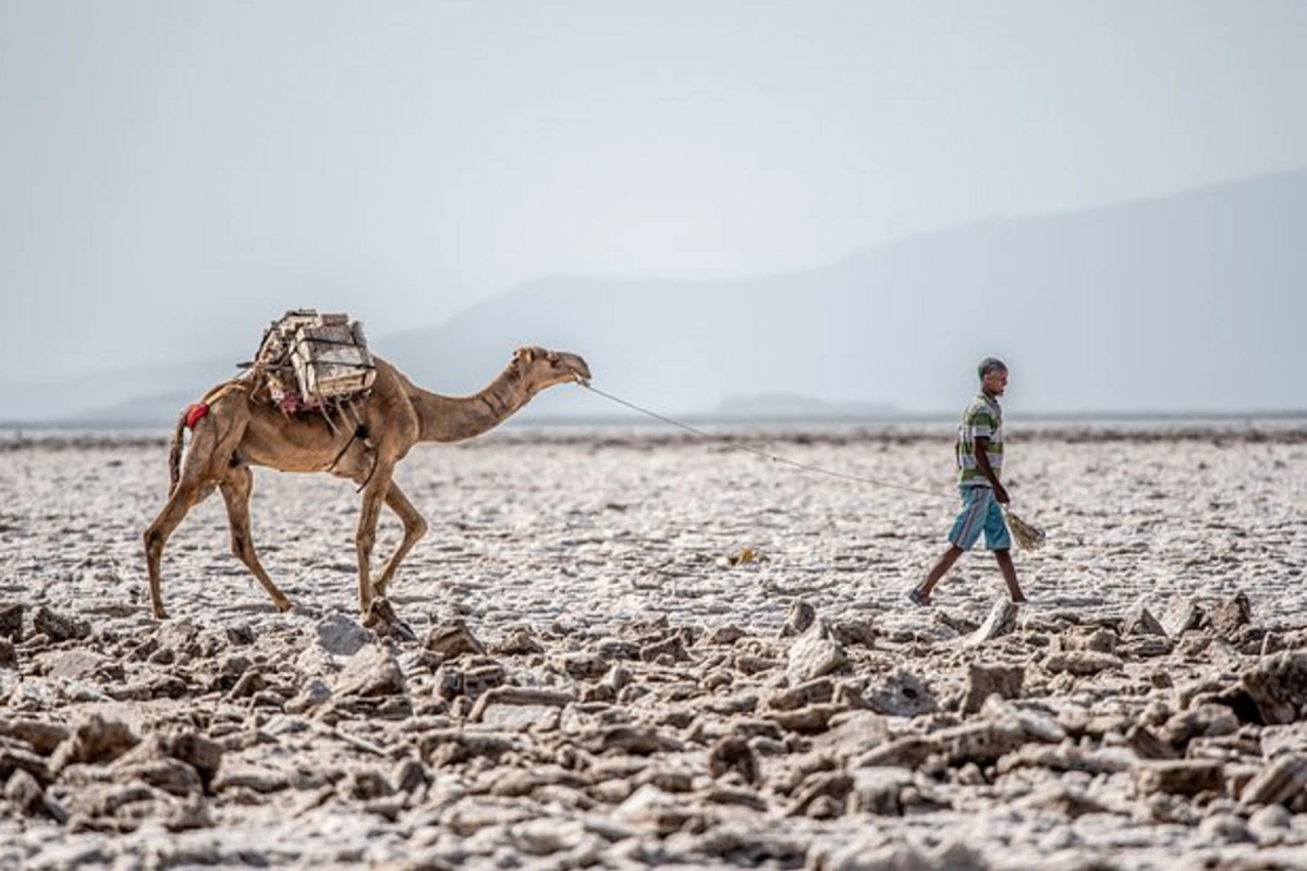 Şərqi Afrika yeni qitəyə çevriləcək - Alimlərdən XƏBƏRDARLIQ