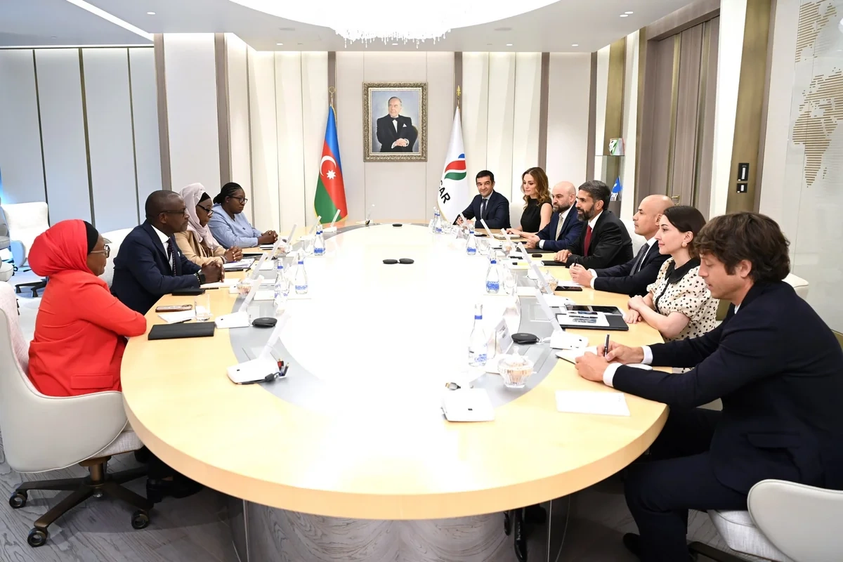 SOCAR Baleine yatağında görülən işləri nəzərdən keçirib