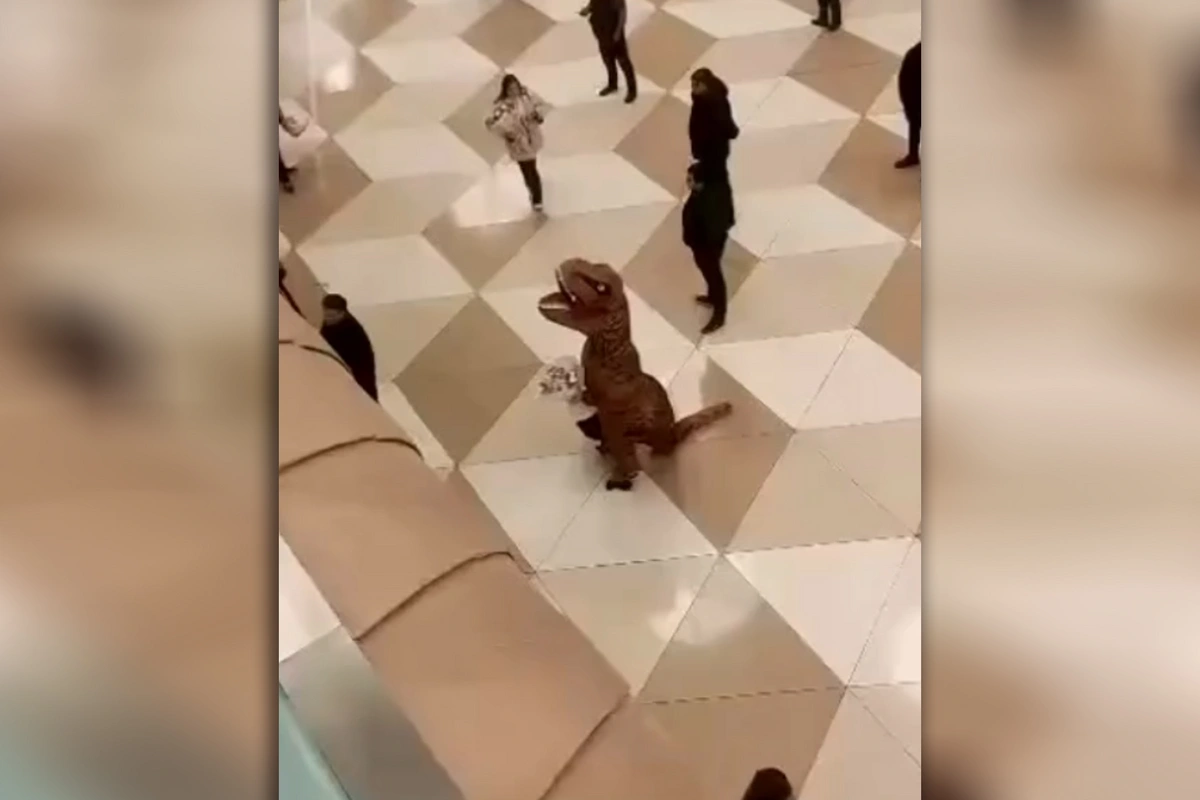 Unusual incident at Baku airport