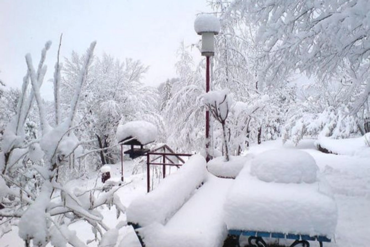 Şahbuzda 37 santimetr qar yağıb - FAKTİKİ HAVA