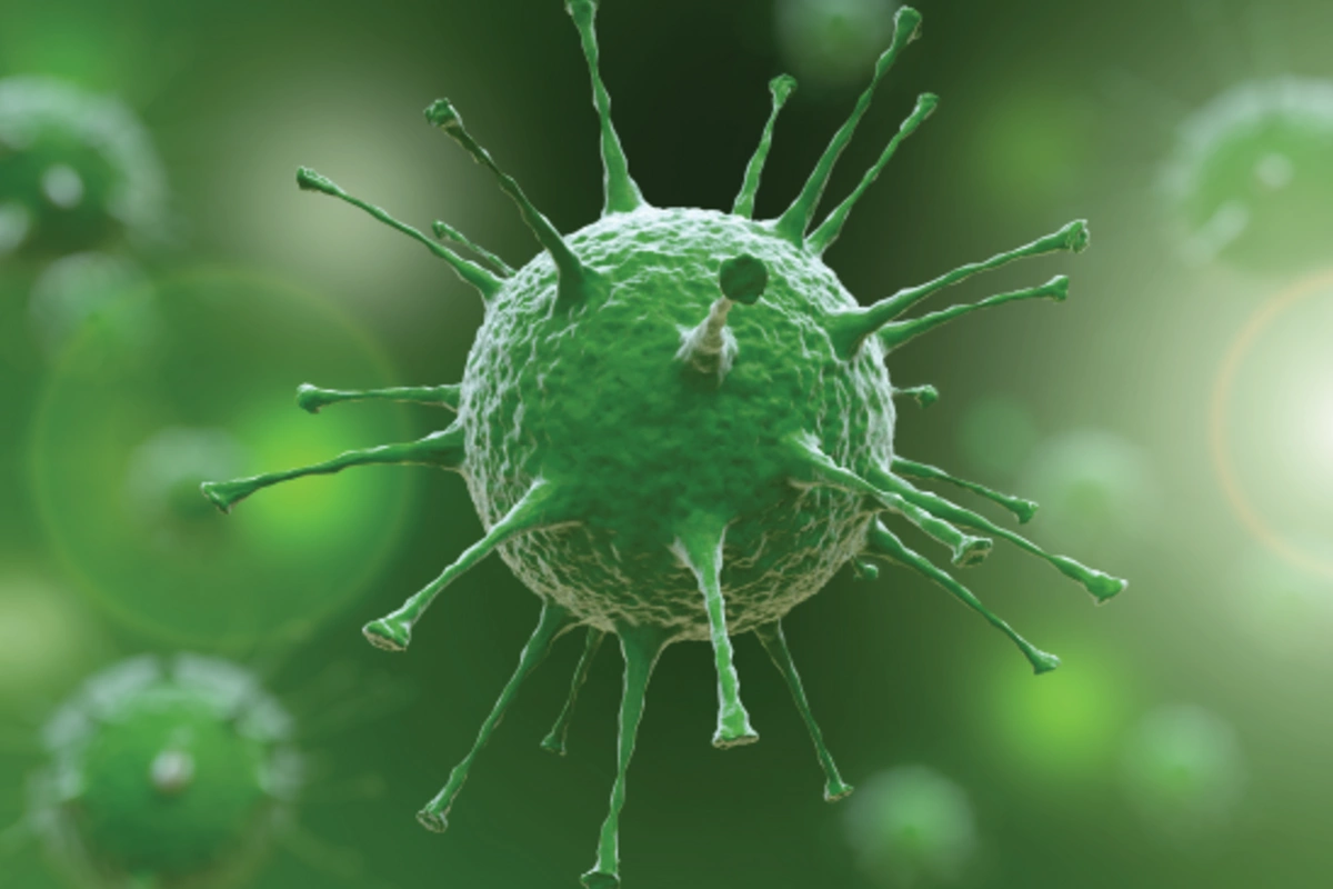 Koronavirus yenidən YAYILIB? - infeksionist AÇIQLADI