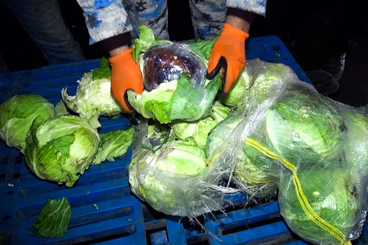 Kələm yükündən narkotik tapılıb