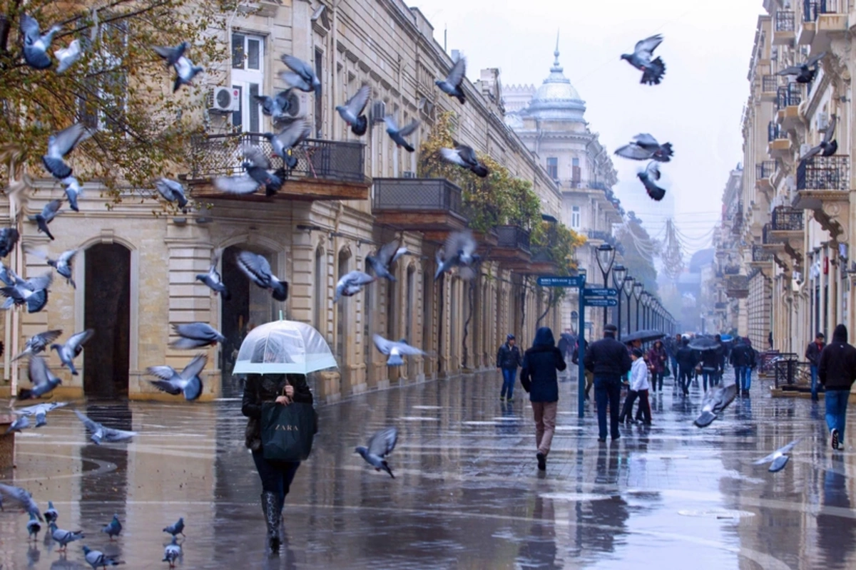 Завтра в Баку ожидаются дожди, в регионах выпадет снег