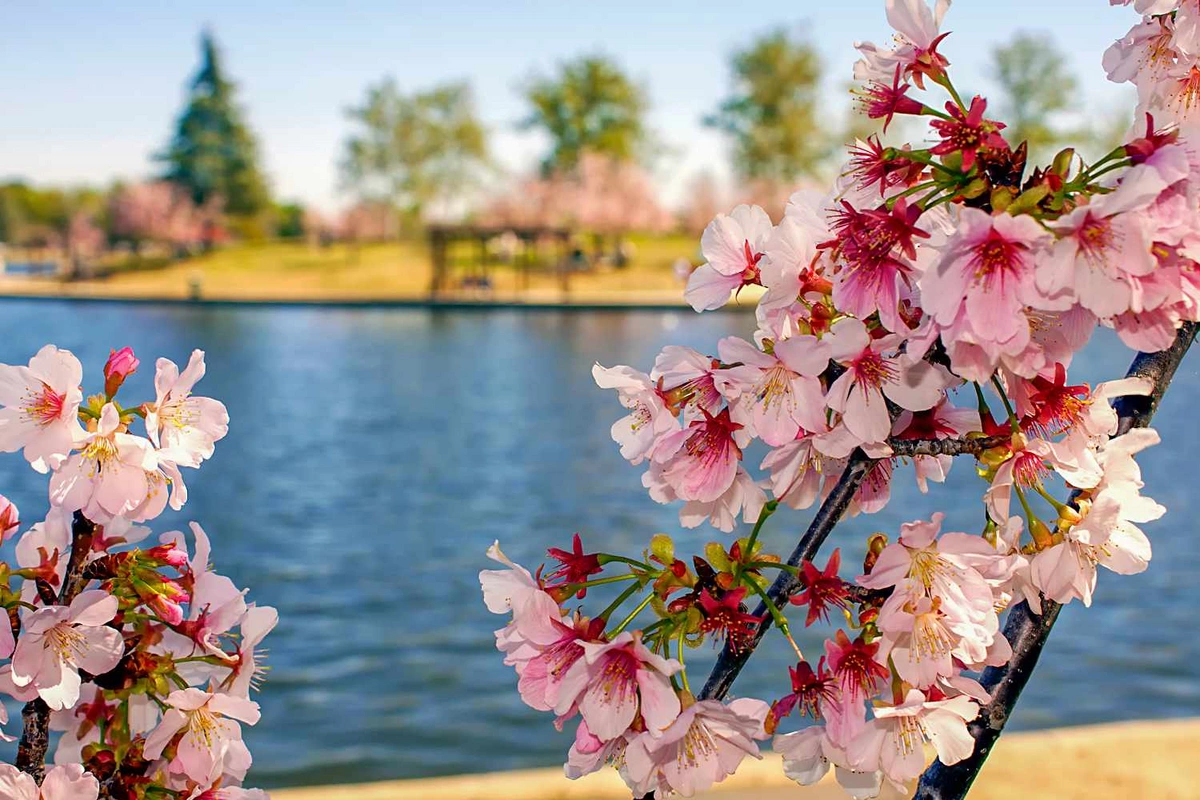 Aprel ayına olan hava proqnozu açıqlanıb