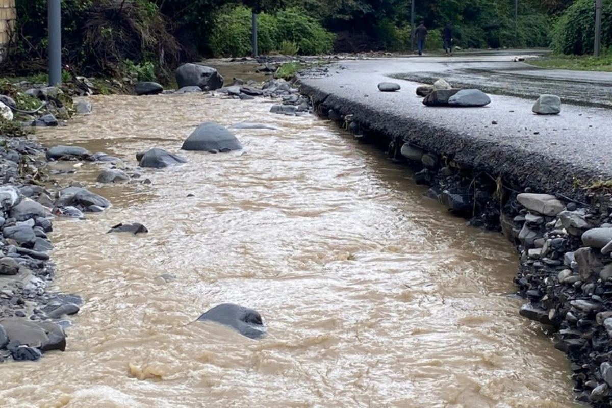 Zaqatalada sakinləri SEVİNDİRƏCƏK XƏBƏR