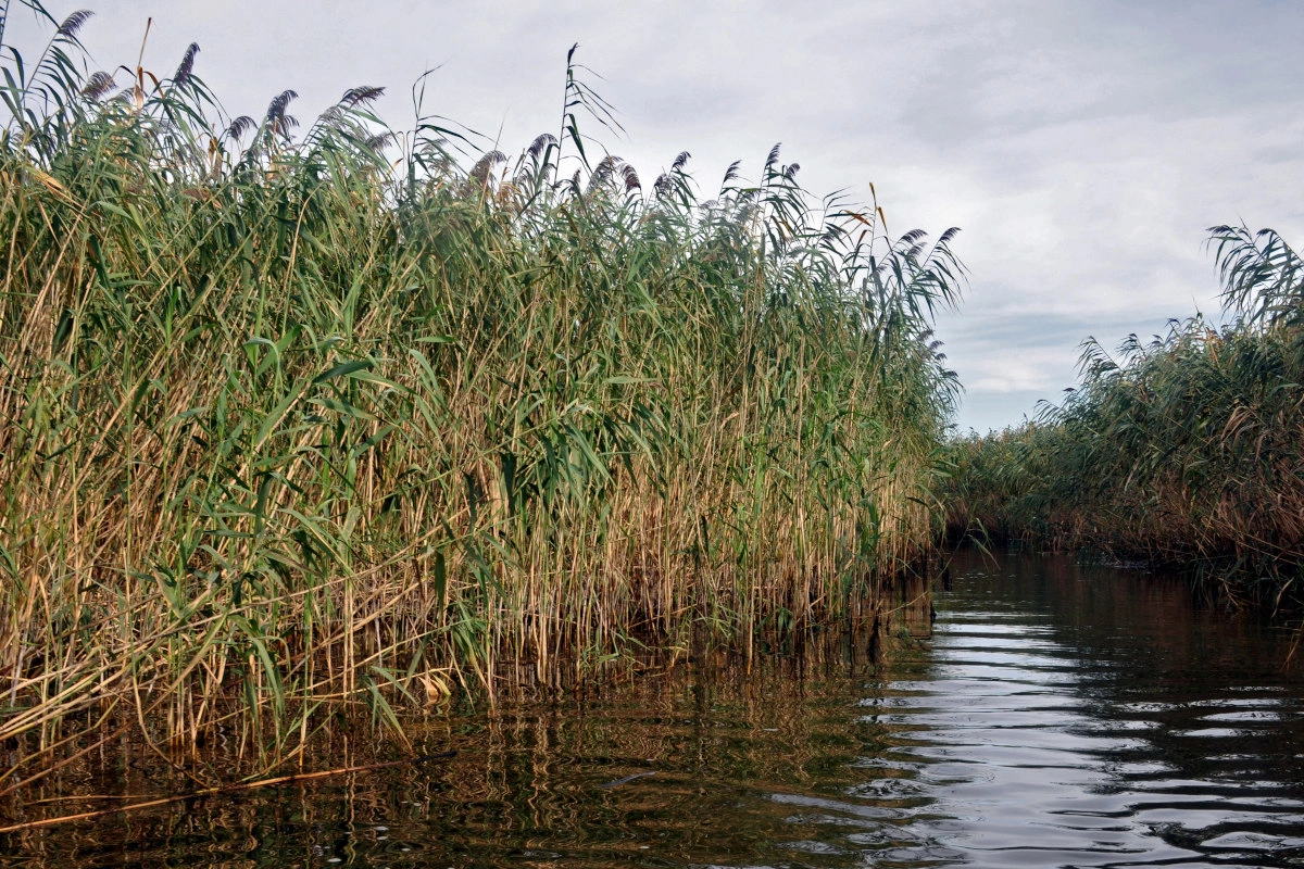 В Гобустане: ребенок утонул в водоеме