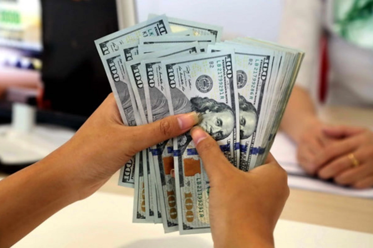 Balıq satan qadın birjaya 16 min dollar yatırdı - Hamısını itirdi Balıq satan qadın birjaya 16 min dollar yatırdı - Hamısını itirdi