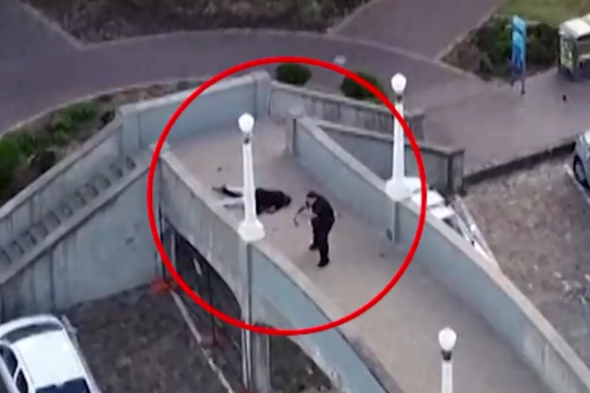 Sidneydə törədilən terroru ata və oğul həyata keçirib