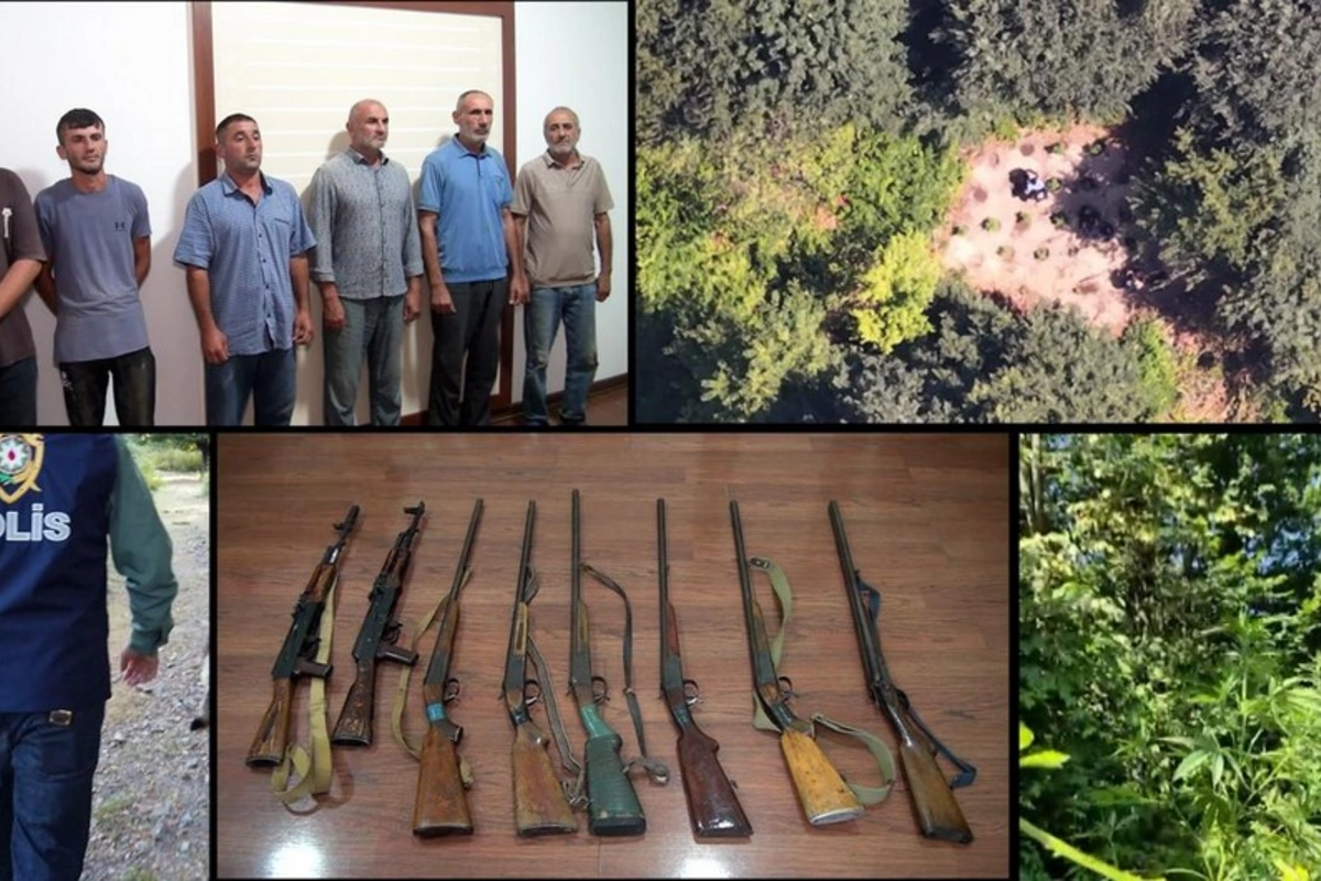 Balakəndə xüsusi əməliyyat: dağda narkotik becərən silahlı dəstə ifşa olunaraq həbs edilib Balakəndə xüsusi əməliyyat: dağda narkotik becərən silahlı dəstə ifşa olunaraq həbs edilib