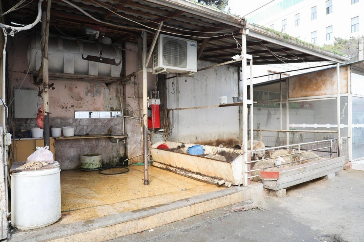 Соленья и молочная продукция неизвестного происхождения: нарушения на бакинском рынке