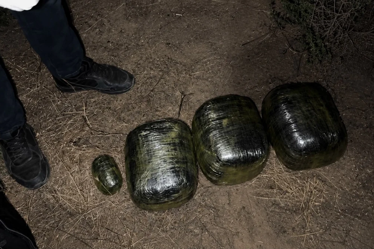 Saatlıda 8 kiloqram narkotik vasitə aşkarlanıb