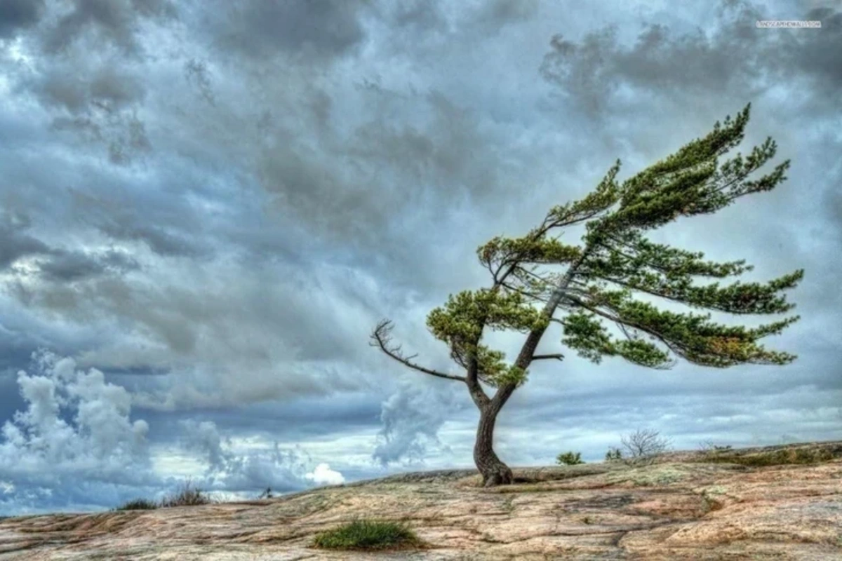 A yellow warning has been issued in Azerbaijan due to expected windy weather