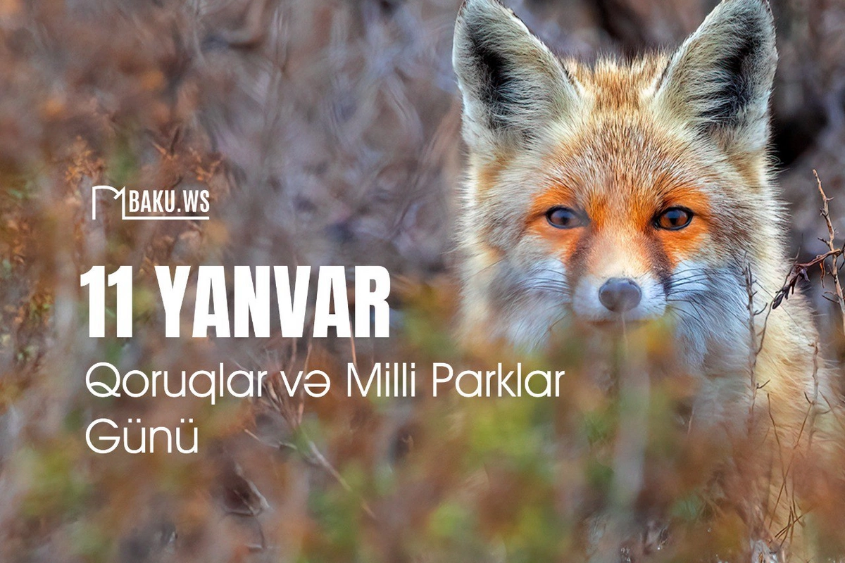 Yanvarın 11-i Dünya Qoruqlar və Milli Parklar Günüdür