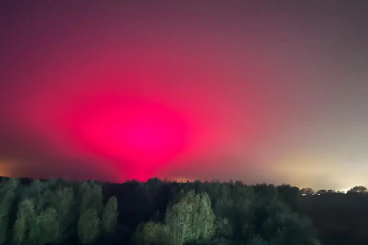 Şimal işıqlarını gördüyü üçün sevindi, pomidor zavodu çıxdı