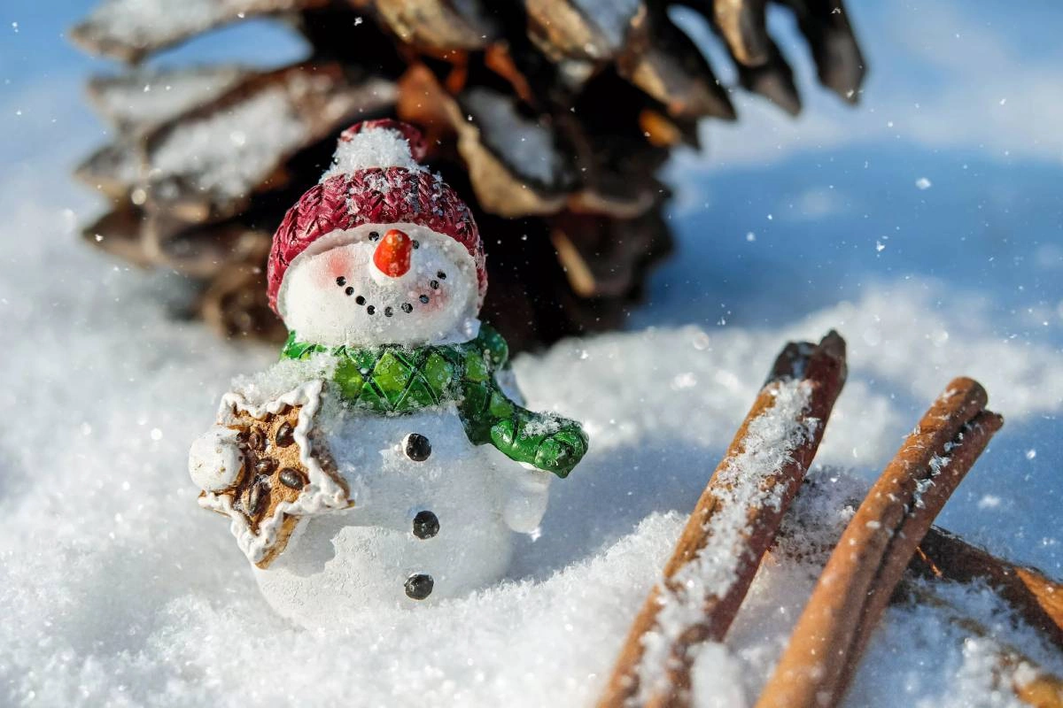 Sabah 10° şaxta olacaq