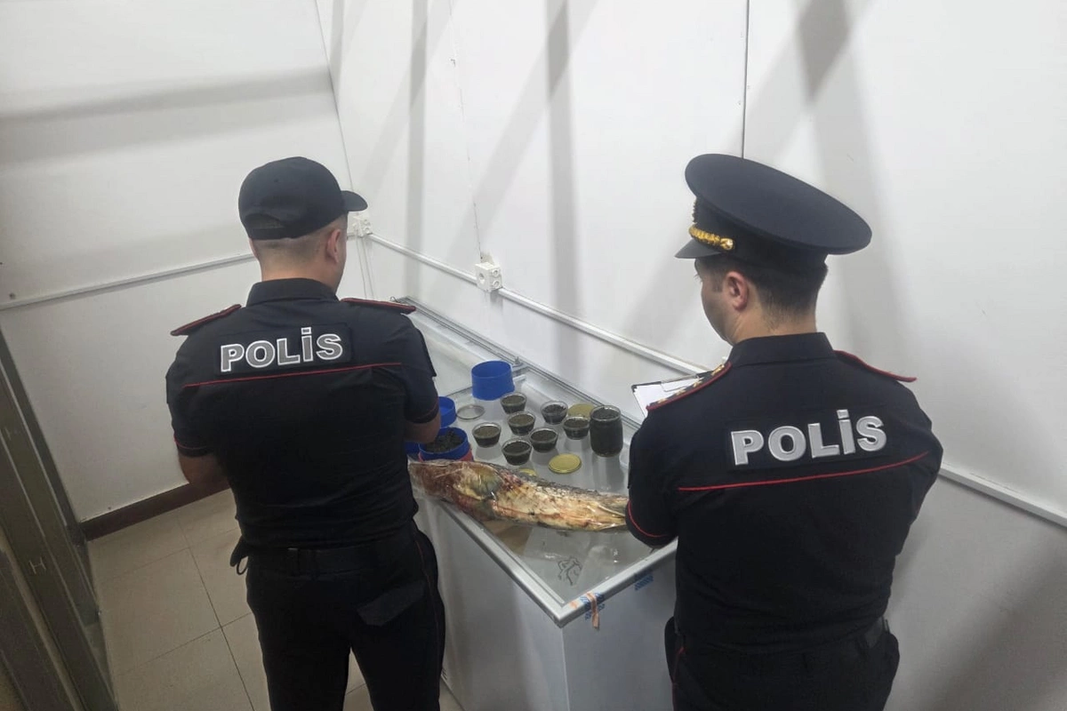 В Баку раскрыта незаконная торговля морепродуктами через соцсети В Баку раскрыта незаконная торговля морепродуктами через соцсети
