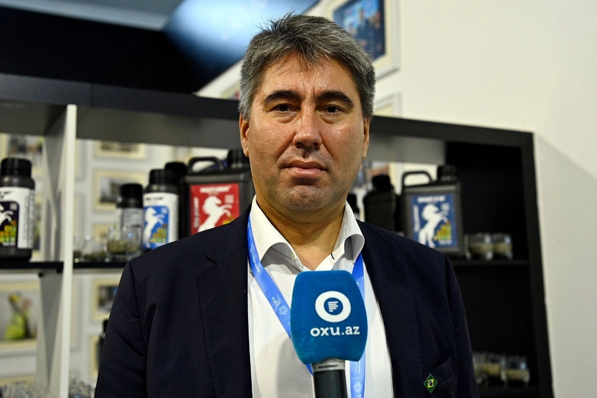 COP29: İqlim maliyyəsi diqqət mərkəzindədir COP29: İqlim maliyyəsi diqqət mərkəzindədir