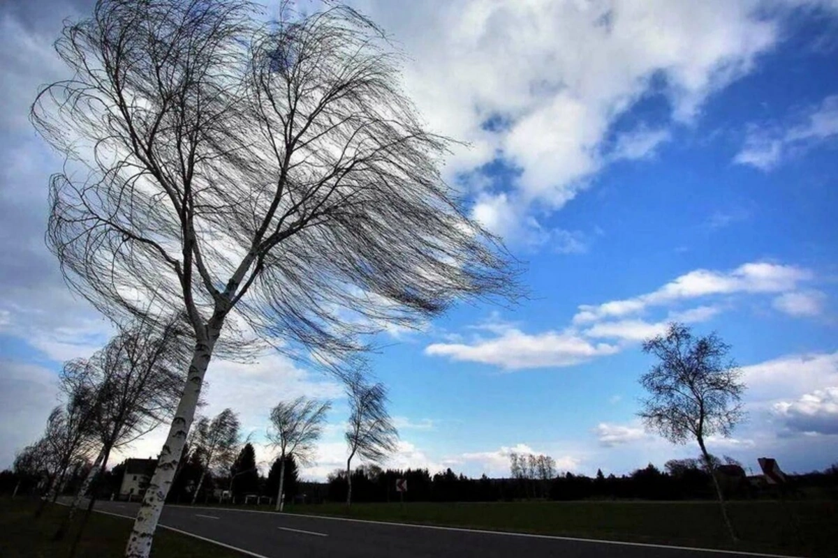 В Баку и большинстве регионов три дня будет дуть сильный ветер - ПРЕДУПРЕЖДЕНИЕ