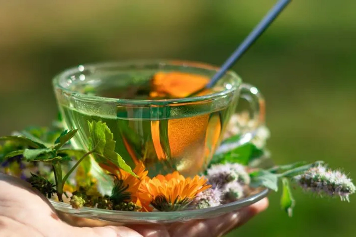 Can you drink herbal tea daily: what unexpected changes will happen to your body