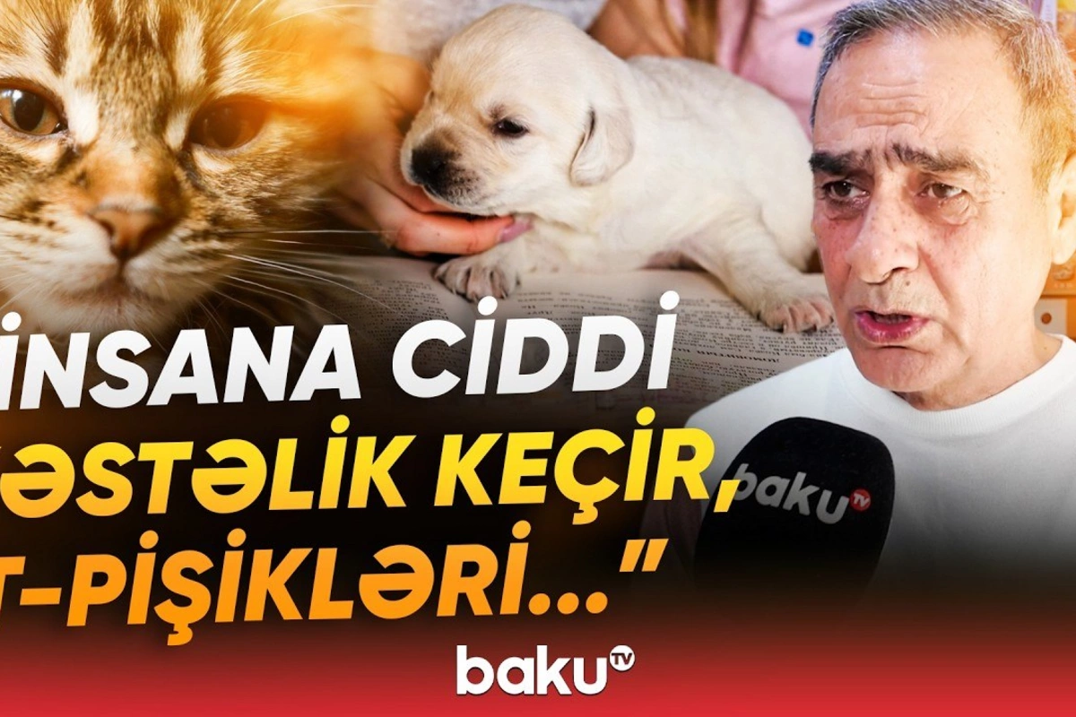 Nəqliyyatdan istifadə edəndə buna görə 200 manat cərimə oluna bilərsiniz - Baku TV