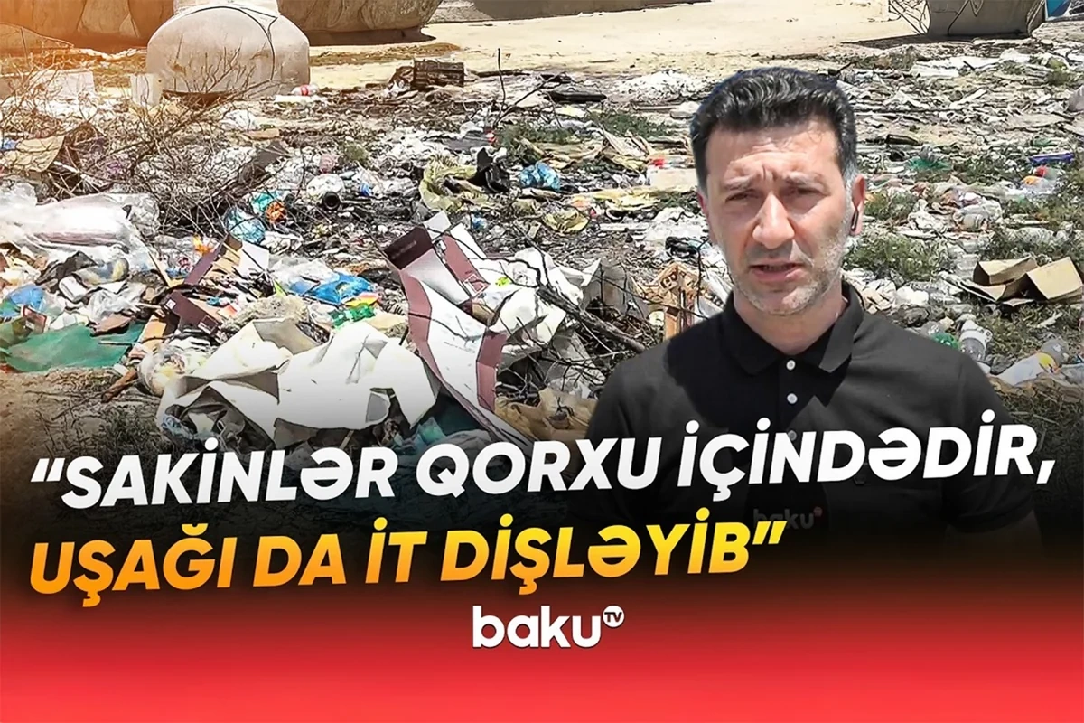 Pirşağıda zibil problemi: Üfunət, sahibsiz itlərin hücumu...