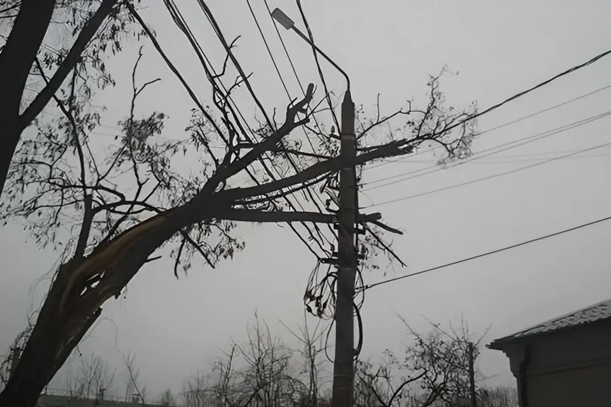 Из-за сильного ветра некоторые регионы Азербайджана остались без света