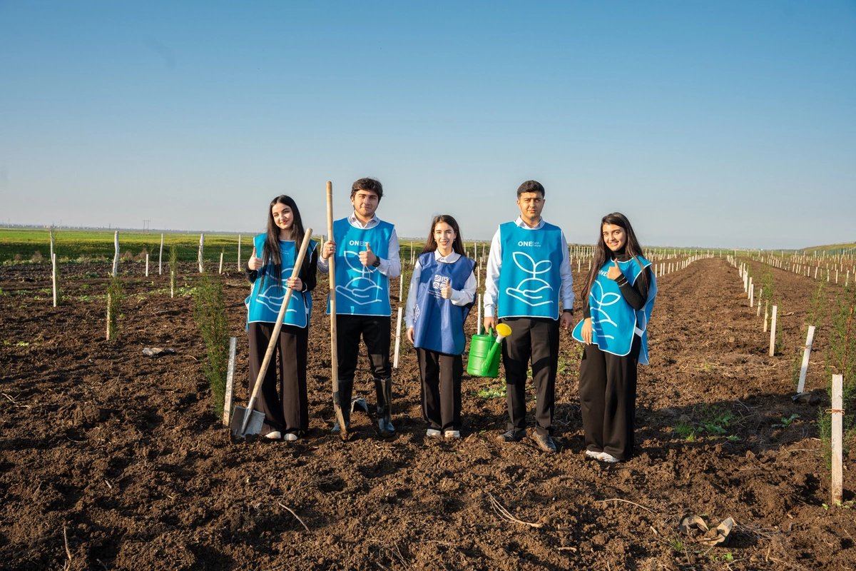 İDEA Sabirabad və Cəlilabad rayonlarında kütləvi ağacəkmə aksiyaları təşkil edib
