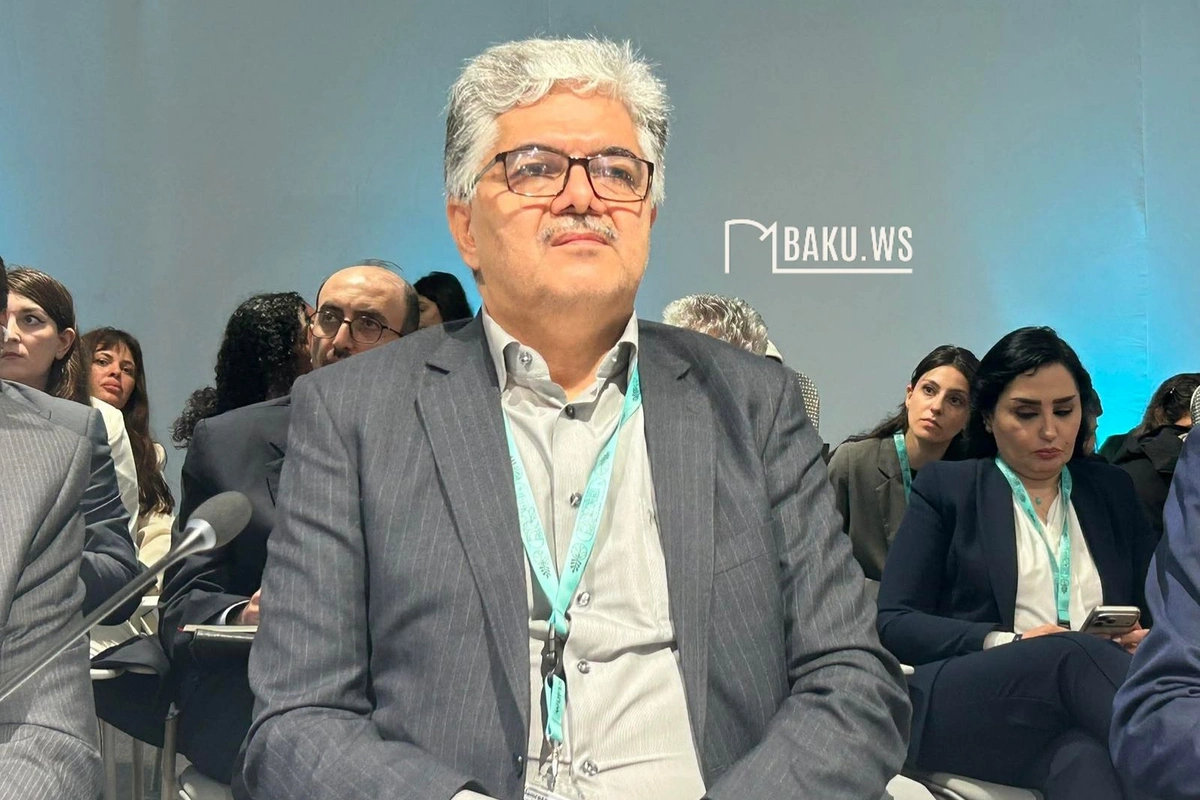 Замминистра Ирана: Мы хотим, чтобы ни один ребенок в Иране не остался без крова