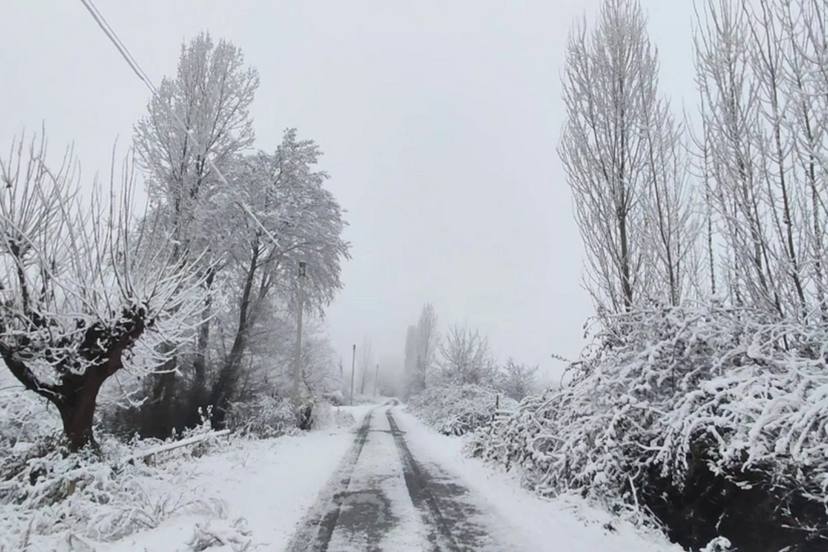 Zaqatalada qarın hündürlüyü 41 sm-ə çatıb - FAKTİKİ HAVA