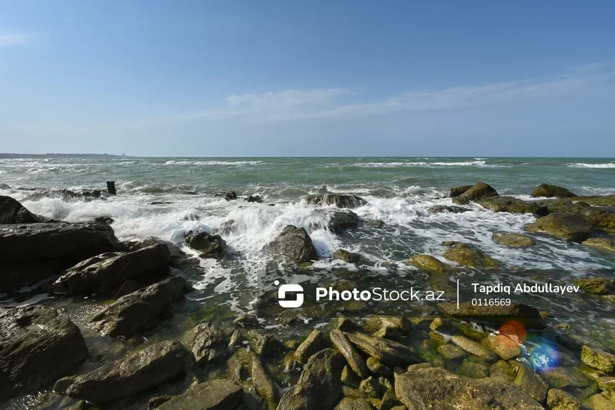 Змеи заполонили берега Черного и Каспийского морей