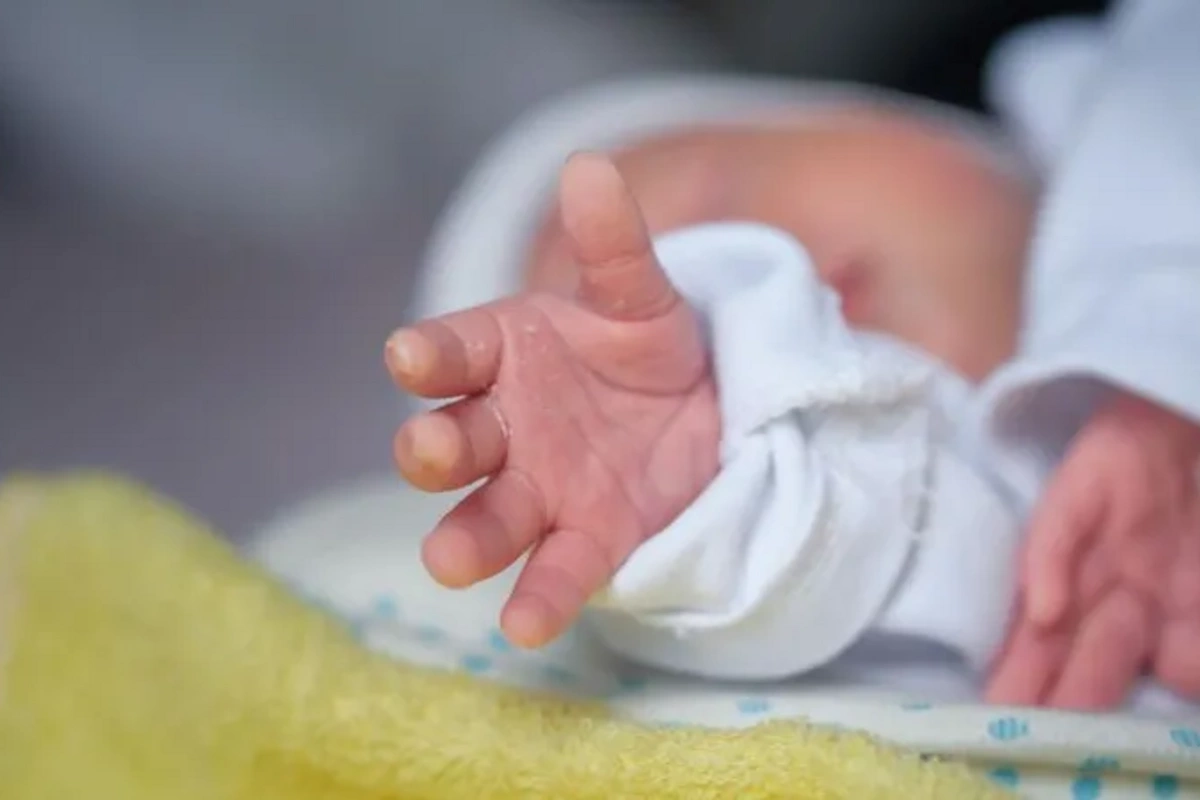 Bodies of 800 infants began to be searched for in an institution for single mothers in Ireland Bodies of 800 infants began to be searched for in an institution for single mothers in Ireland
