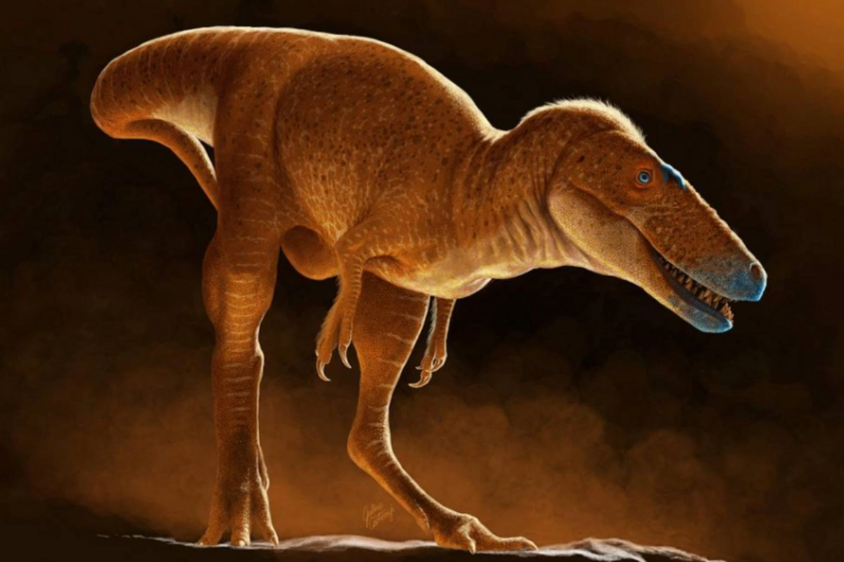 Alimlər 80 milyon il əvvəl yaşamış dinozavrın yeni növünü kəşf edib Alimlər 80 milyon il əvvəl yaşamış dinozavrın yeni növünü kəşf edib