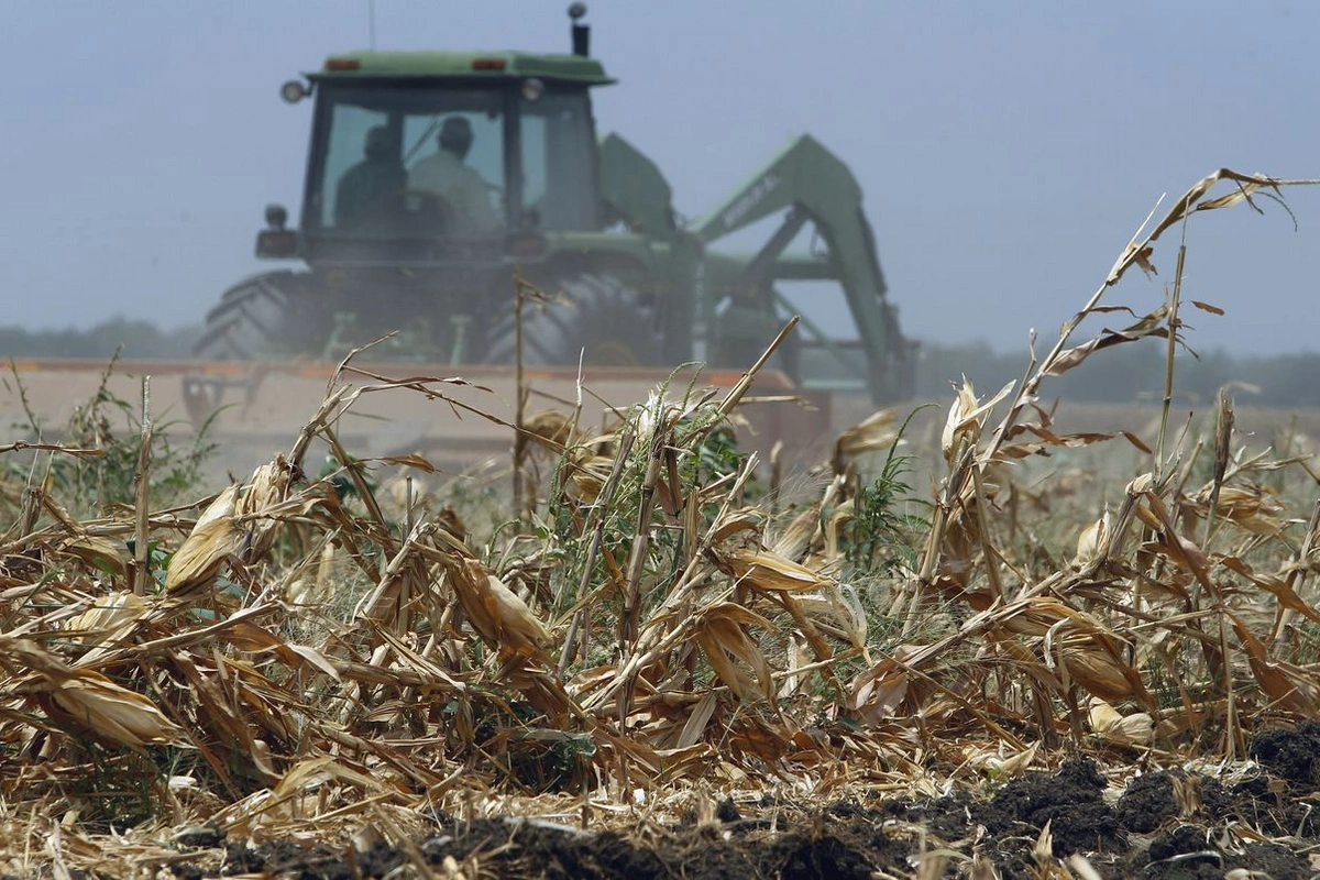 Azərbaycanda məhsullara zərər dəyib - Bu rayonlarda...